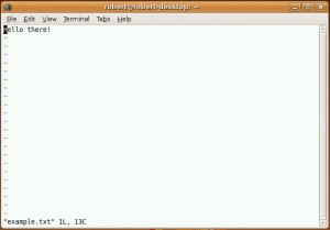 vim editor dalam mode command 300x209 Mengedit file menggunakan Nano dan Vi/Vim
