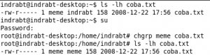 contoh penggunaan chgrp 300x79 Mengubah permission, owner, dan group di Linux